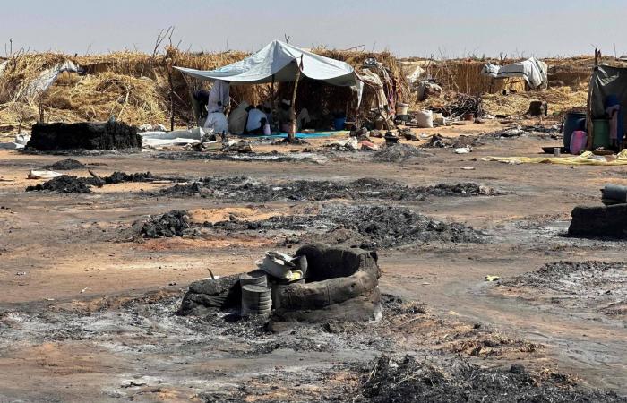 الجيش
      السوداني
      ينفي
      ضلوعه
      في
      مجزرة
      «مستشفى
      الضعين»
      بشرق
      دارفور