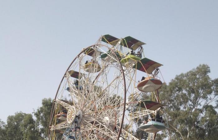 ممارسات
      حوثية
      تحرم
      اليمنيين
      بهجتهم
      بالعيد