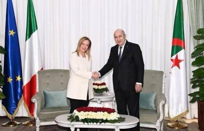 أسرة
      ناشط
      ليبي
      «معتقل»
      تحمّل
      الدبيبة
      وأجهزته
      مسؤولية
      سلامته