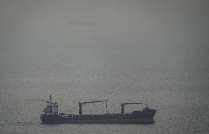 مرونة
      السياسات
      وشرايين
      النقل...
      «درع»
      الاقتصاد
      السعودي
      في
      وجه
      أزمة
      «هرمز»