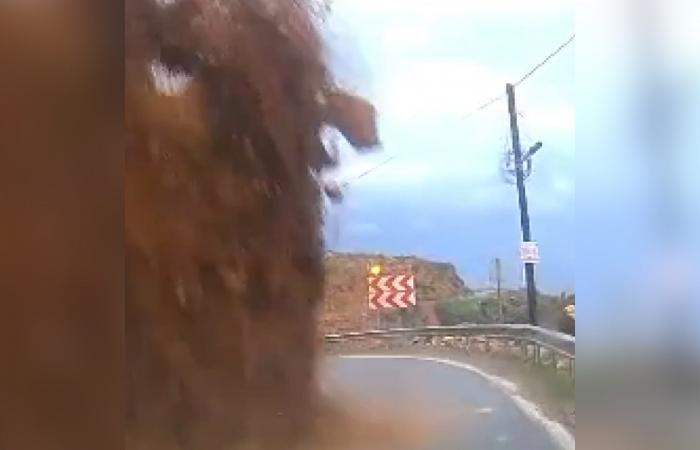 انهيار صخري يدفن سائقاً على طول طريق ساحلي في تركيا