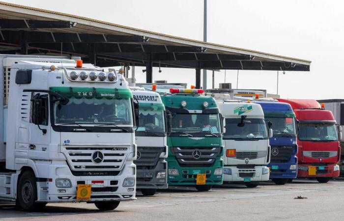 مرونة
      السياسات
      وشرايين
      النقل...
      «درع»
      الاقتصاد
      السعودي
      في
      وجه
      أزمة
      «هرمز»