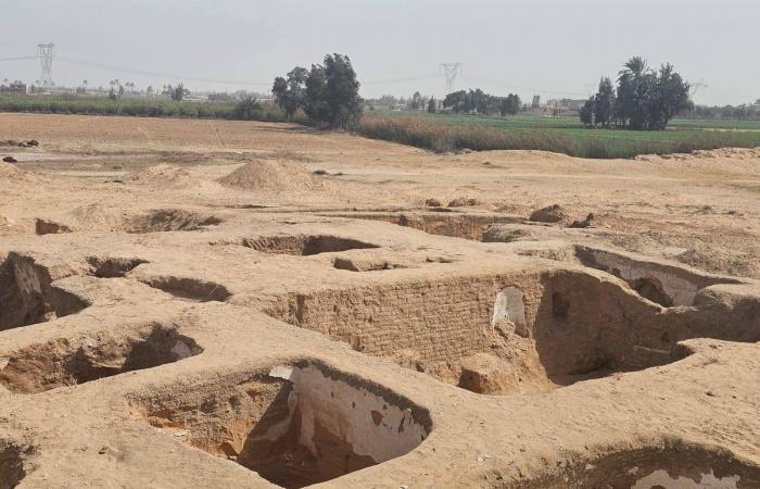 اكتشاف
      مبنى
      أثري
      يوثق
      بدايات
      «الرهبنة
      القبطية»
      في
      دلتا
      مصر