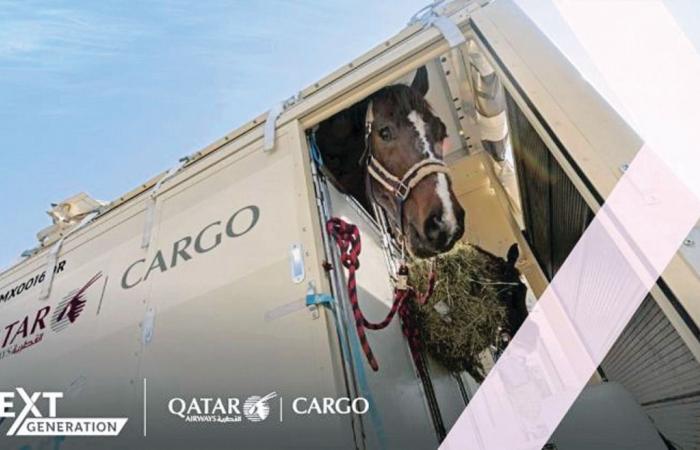 القطرية للشحن تنقل نخبة من خيول قفز الحواجز