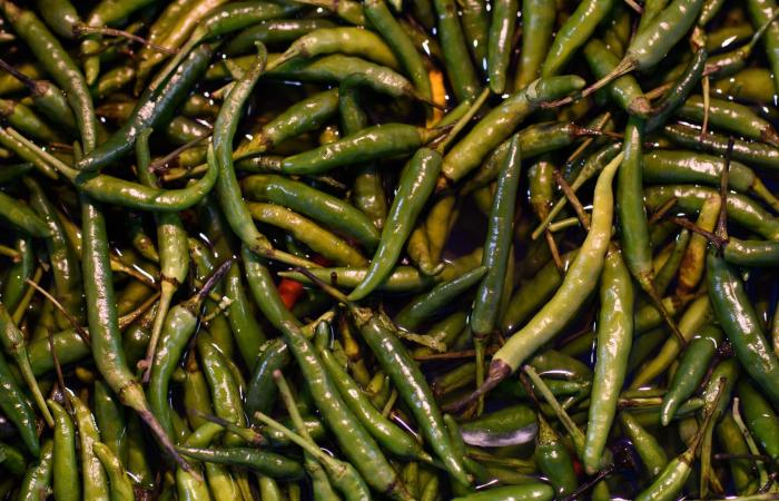 الفلفل الحار..ما أهم فوائده للقلب والدماغ بعيدًا عن طعمه الحارق؟