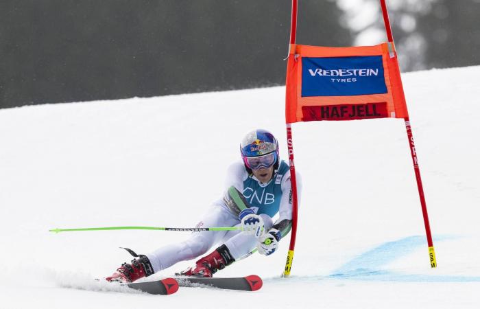 البطل
      الأولمبي
      البرازيلي
      بينهيرو
      يتوَّج
      بكأس
      العالم
      للتزلج
      العملاق