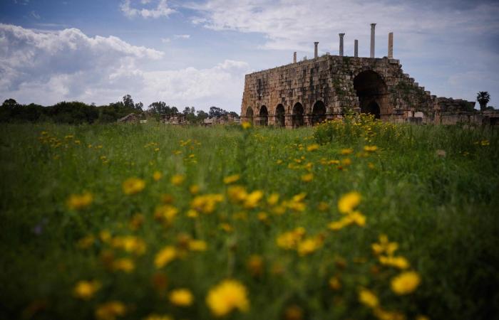 مواقع
      أثرية
      بمدينة
      صور
      اللبنانية
      تحت
      رحمة
      الغارات
      الإسرائيلية
