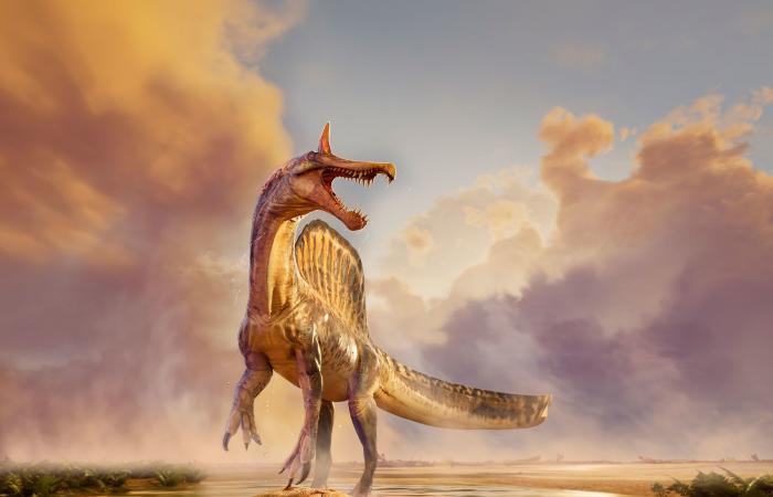 الكشف عن ديناصور ضخم "جهنمي" يتقن نصب الكمائن لفرائسه