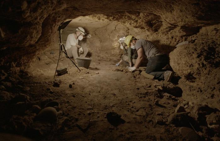 «لبنان…
      أسرار
      مملكة
      بيبلوس»
      يُعرض
      في
      متحف
      اللوفر