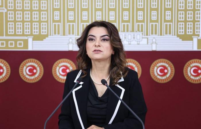 تركيا:
      صدام
      بين
      القوميين
      حول
      «السلام»
      مع
      الأكراد