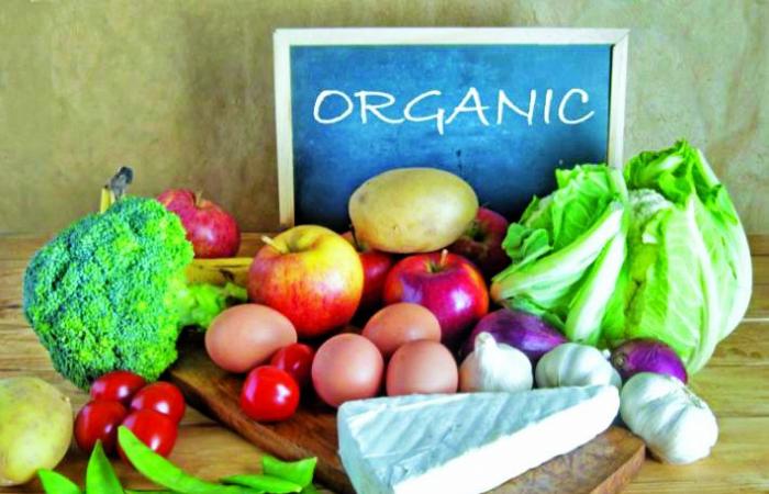 الشرق تنشر دليل استيراد الأغذية العضوية