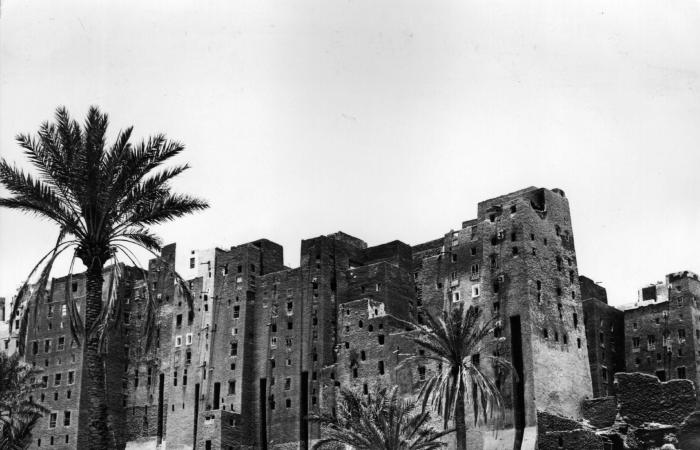 صور عمرها حوالي 100 عام.. باحثة سعودية توثّق أرشيف شبه الجزيرة العربية