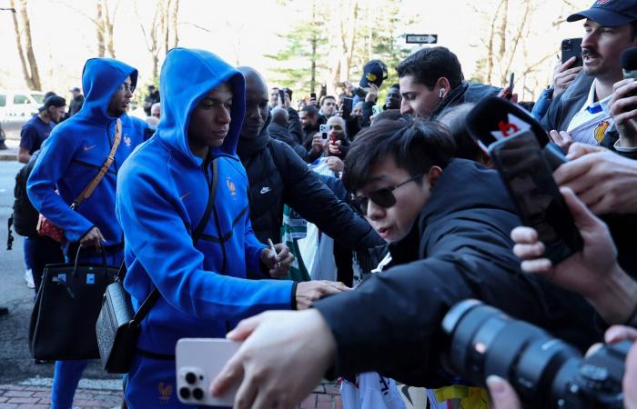 البرازيل
      وفرنسا
      في
      «بروفة»
      من
      العيار
      الثقيل
      استعداداً
      لـ«مونديال
      2026»