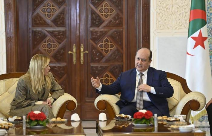 ميلوني
      تصل
      إلى
      الجزائر
      لبحث
      زيادة
      إمدادات
      الغاز
      الطبيعي