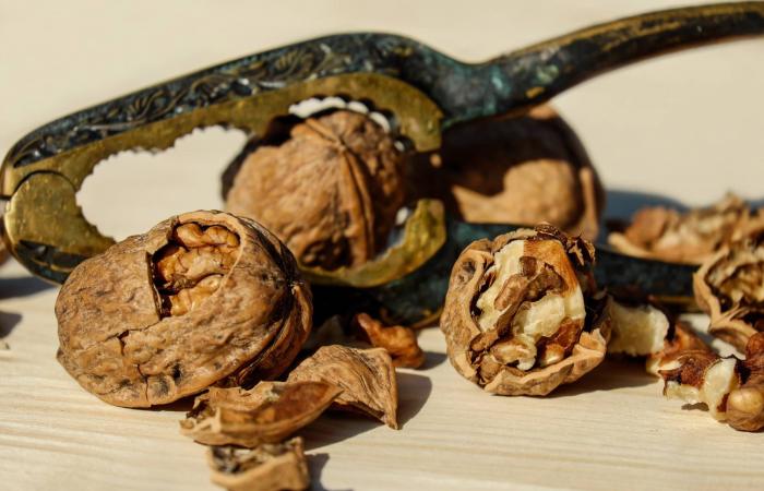 ما
      تأثير
      تناول
      الجوز
      على
      مرضى
      القلب؟