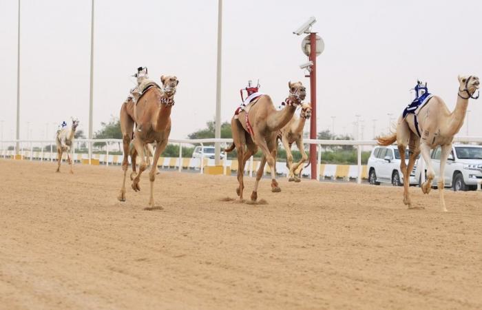 انطلاقة قوية لأشواط الجذاع في المرحلة الثانية من السباق المحلي الثامن للهجن