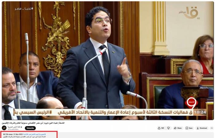 "مصر لا تستجدي أحدًا".. ما قصة الفيديو المتداول لبرلماني مصري؟
