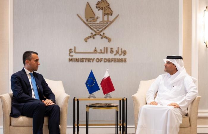 نائب رئيس الوزراء يجتمع مع الممثل الخاص للاتحاد الأوروبي لمنطقة الخليج العربي