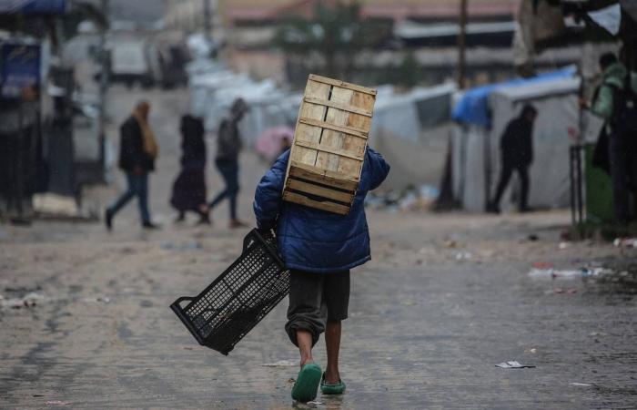 «الخارجية
      الأميركية»:
      عدم
      التزام
      «حماس»
      بنزع
      سلاحها
      سيواجه
      بتبعات
      صعبة