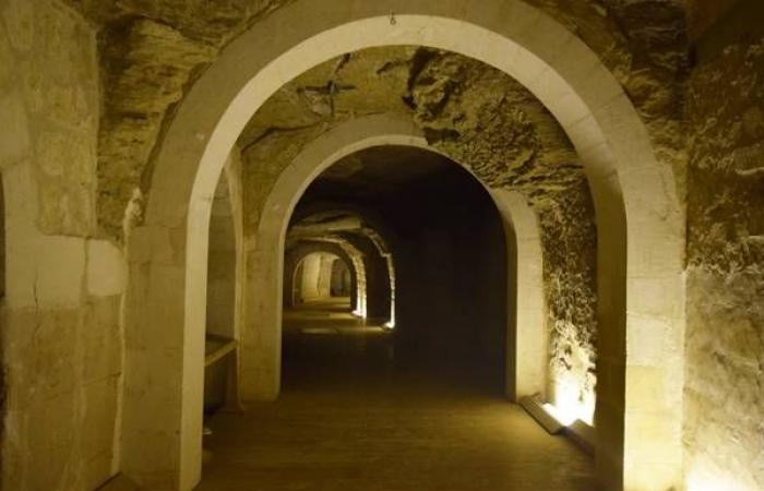 واقعة
      «تابوت
      السيرابيوم»
      بسقّارة
      تجدّد
      الجدل
      حول
      تأمين
      الآثار
      المصرية