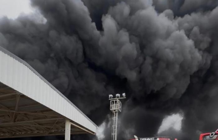 الرئيس
      الأوكراني
      في
      جدة
      لحضور
      «اجتماعات
      مهمة»