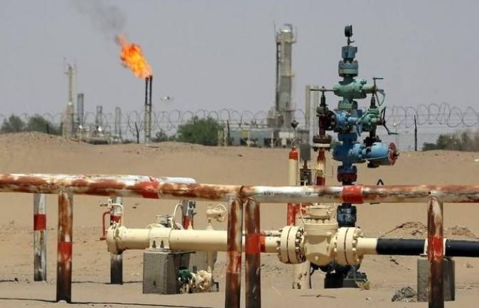 الحوثي
      يرهن
      التدخل
      عسكرياً
      إلى
      جانب
      إيران
      بـ«تطورات
      المعركة»