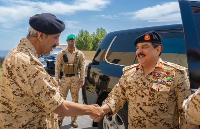 ترتيبات
      لمشتريات
      دفاعية
      بين
      السعودية
      وأوكرانيا