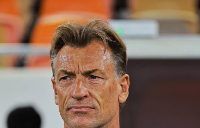 مصير
      رينارد...
      كل
      الاحتمالات
      مفتوحة