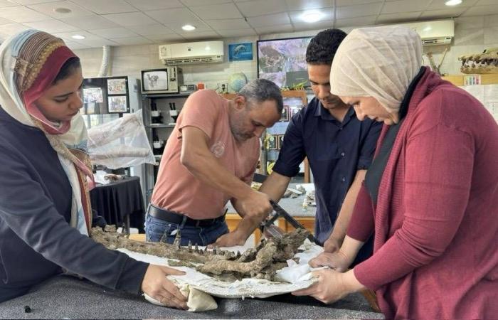 المتحف
      المصري
      الكبير
      ضمن
      قائمة
      عالمية
      لأفضل
      المعالم
      السياحية
      في
      2026