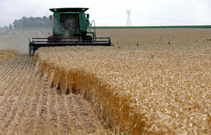 حرب
      إيران
      تهدد
      الأمن
      الغذائي
      العالمي
      مع
      ارتفاع
      أسعار
      الأسمدة