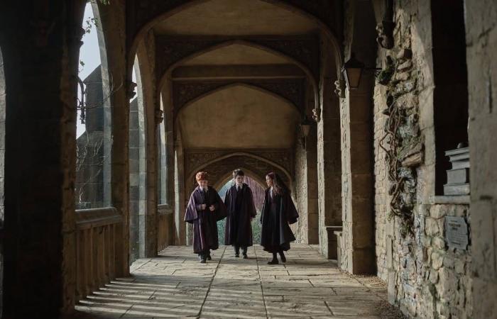 فطر
      نادر
      يُشبه
      اللسان
      يظهر
      للمرة
      الأولى
      في
      بريطانيا