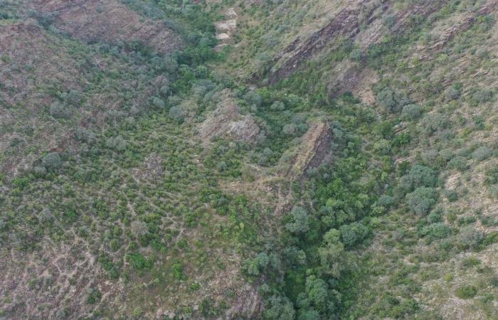 عُمان:
      إصابة
      عامل
      وأضرار
      محدودة
      بعد
      هجوم
      بمسيرتين
      على
      ميناء
      صلالة