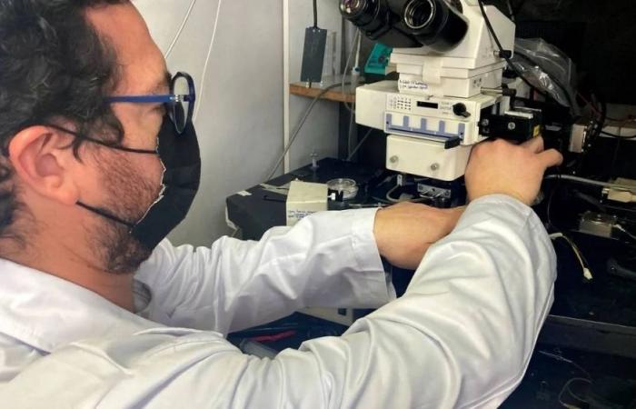 عـــلاج الــفـصــــام