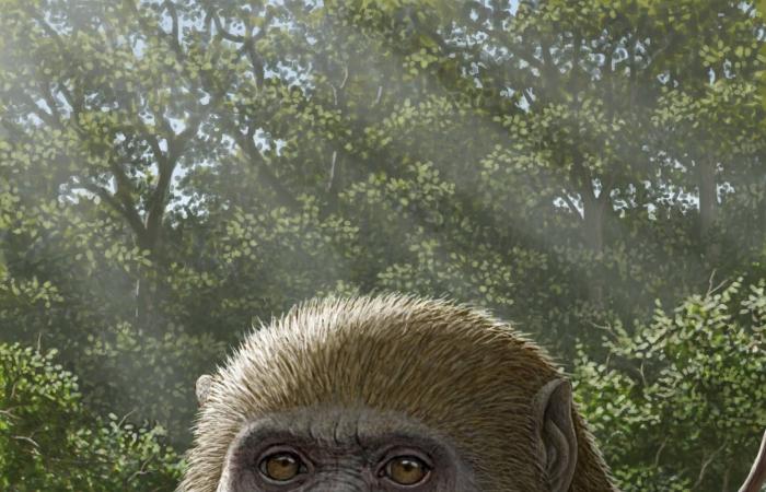 سرقة
      أكثر
      من
      400
      ألف
      قطعة
      شوكولاته
      «كيت
      كات»
      في
      إيطاليا