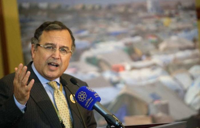 مجلس الجامعة العربية على المستوى الوزاري يوافق على ترشيح السفير نبيل فهمي أمينا عاما للجامعة