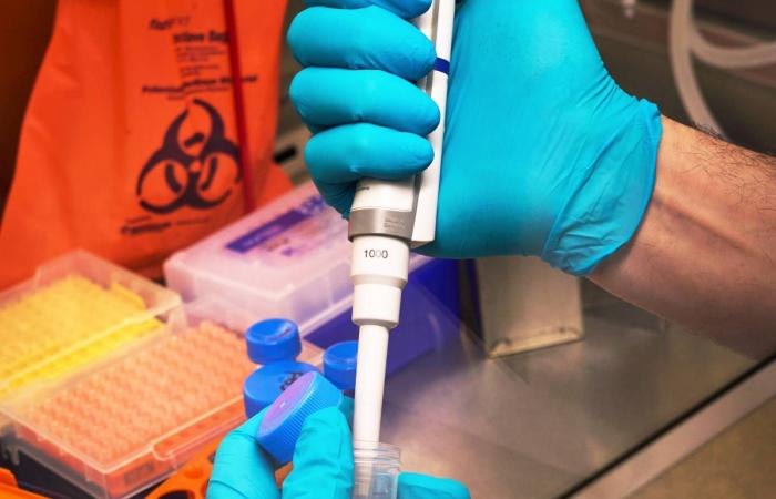 كيف
      تحوّل
      بيضةَ
      دجاجة
      مصنعاً
      للأدوية؟