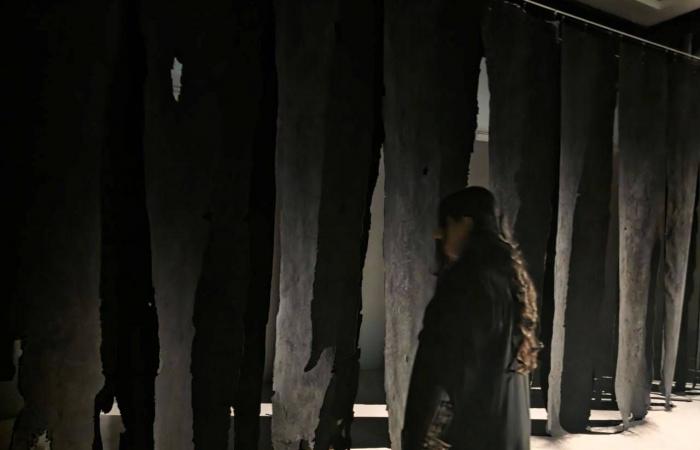 سعيد
      قمحاوي
      في
      «بقاء
      مؤقت»:
      تجربة
      مفتوحة
      على
      تحوّلات
      المادة