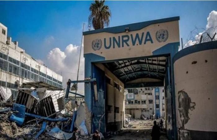 الأونروا تطالب بإجراء تحقيق في مقتل موظفيها خلال الحرب الإسرائيلية على غزة