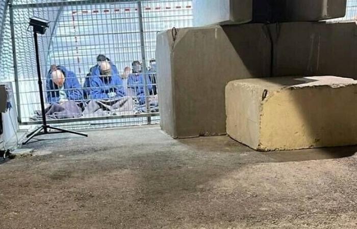 «الأونروا»
      تطالب
      بالتحقيق
      في
      مقتل
      390
      من
      موظفيها
      خلال
      حرب
      غزة