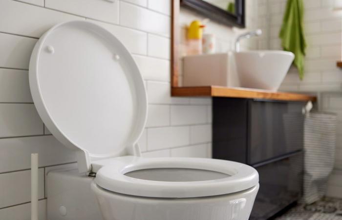 الإسهال الحاد عند الكبار..كيف يمكن علاجه بسرعة؟