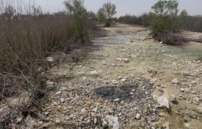 وزارة البيئة: ضبط شركة قامت بتفريغ مياه صرف صحي معالجة في المزروعة