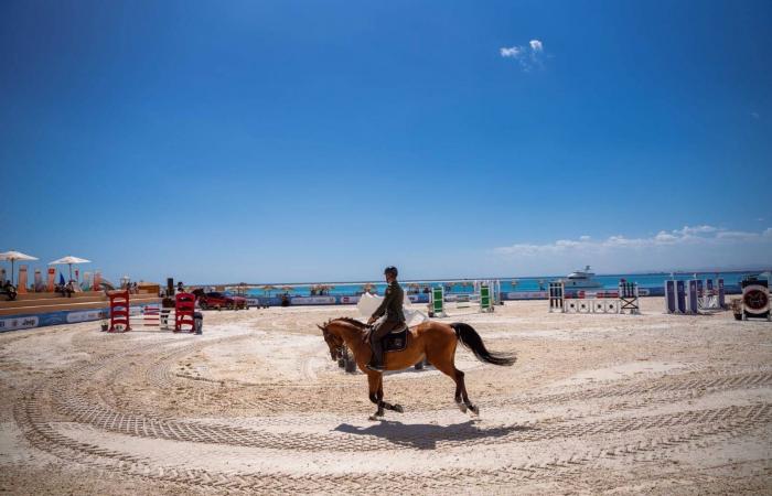 «السباحة»
      و«الفروسية»...
      رهان
      مصري
      جديد
      على
      السياحة
      الرياضية