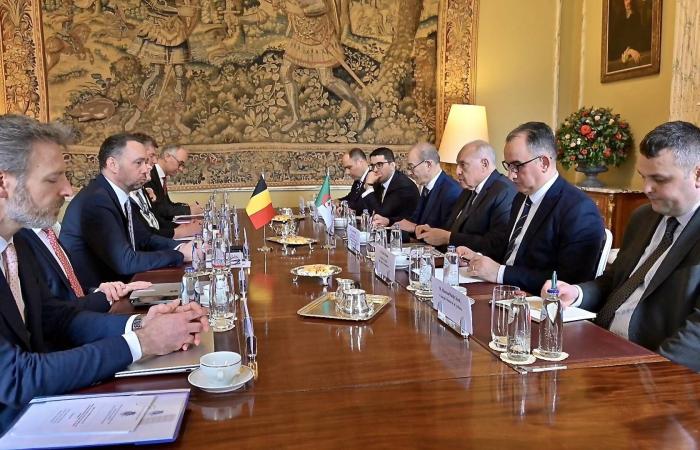 مصر
      ترفع
      الحد
      الأدنى
      للأجور
      في
      القطاع
      العام
      إلى
      8
      آلاف
      جنيه
      شهرياً