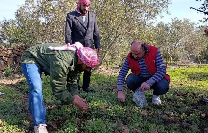 الجيش
      الإسرائيلي
      يحسم
      خلافه
      مع
      الحكومة:
      خط
      أصفر
      شبيه
      بغزة
      في
      لبنان
