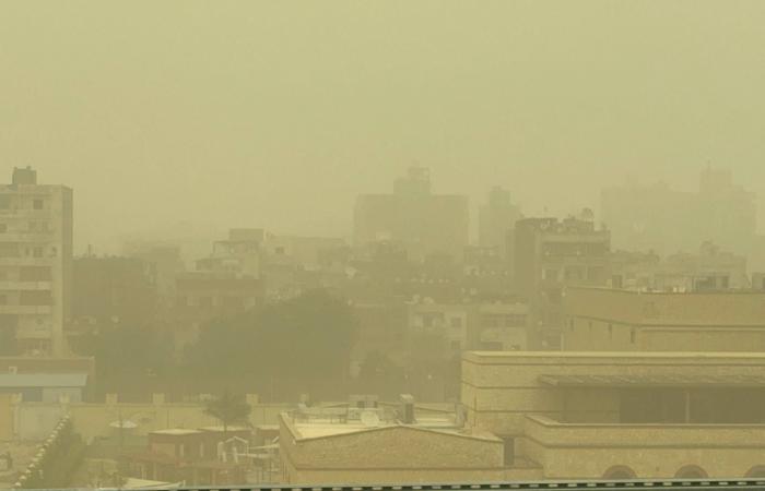 8
      مدن
      سعودية
      ضمن
      «مؤشر
      المدن
      الذكية
      2026»