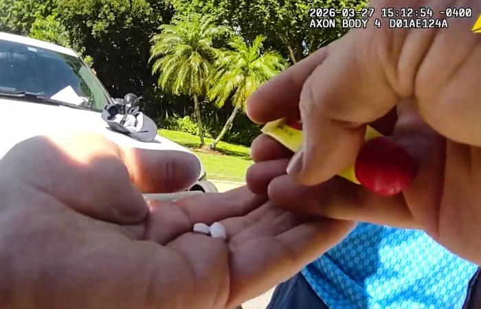 «دورة
      تشارلستون»:
      إيفا
      يوفيتش
      إلى
      ربع
      النهائي