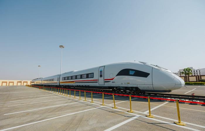 في أفريقيا.. خطط لإنشاء شبكة سكك حديدية فائقة السرعة عبر القارة