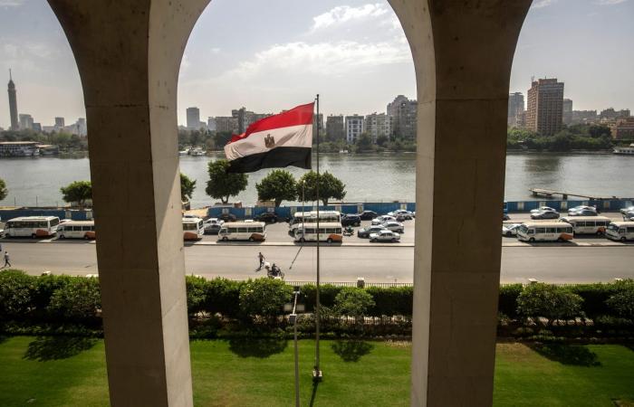 مصر.. نعي رسمي للمهندس المتوفي بعد اعتراض جوي في الإمارات