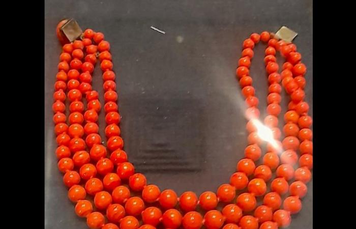 متحف
      المركبات
      الملكية
      بمصر
      يفتح
      «خزائن
      الهوانم»
      للجمهور