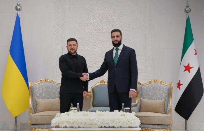 الرئيسان السوري والأوكراني يبحثان تعزيز العلاقات الثنائية